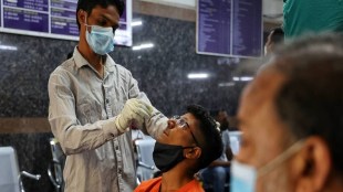 omicron cases in india