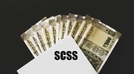 scss interest rate scss interest rate