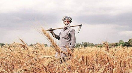 That Punjab needs to diversify towards high-value agriculture was advised by Dr S S Johl, the wise man of Punjab, way back in 1986. But not much seems to have moved on that front.