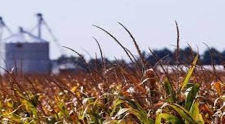 The setting up of customs clearance and cold room facilities at Lal Bahadur Shastri International Airport aided exports from the religious town, which also has linkages to a robust network of Farmers Producer Organisations (FPOs). The setting up of customs clearance and cold room facilities at Lal Bahadur Shastri International Airport aided exports from the religious town, which also has linkages to a robust network of Farmers Producer Organisations (FPOs).