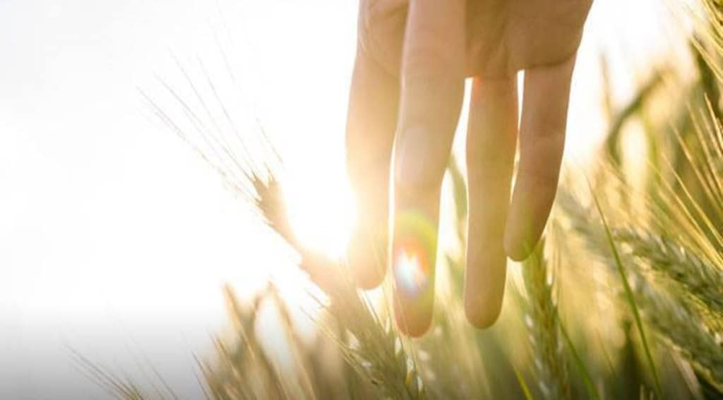 The provision in the draft regulation that holds that FSSAI approval of a specific GM-origin food/ingredient holding unique identification from the Biosafety Clearing House (established under the Cartagena Protocol), OECD, etc, will be universal needs relooking.