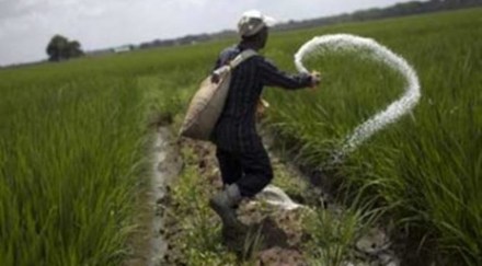 The chemicals segment contributed 93% of the total profit during the quarter. However, the fertiliser segment faced challenges due to uncertainties around raw material availability and costs. The chemicals segment contributed 93% of the total profit during the quarter. However, the fertiliser segment faced challenges due to uncertainties around raw material availability and costs.