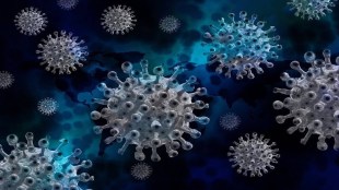 There was a high spread of infection in Maharashtra, West Bengal,  Kerala, Delhi, Karnataka and Tamil Nadu, with the six states accounting for around 70% of the active cases. There are 156 districts with weekly case positivity rate above 2.5%.