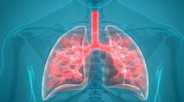 Breathlessness is a symptom in most long COVID patients, but it has been unclear whether this is linked to other factors such as changes in breathing patterns, tiredness, or something more fundamental.
