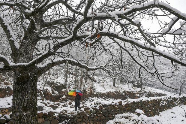 A man holding an umbrella walks on a road during season's first snowfall, on the outskirts of Srinagar. (PTI Photo)