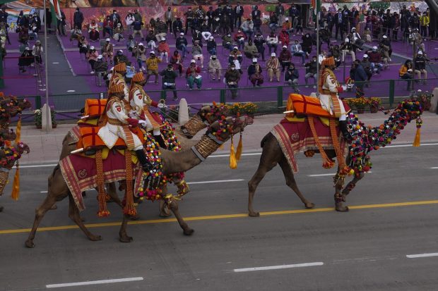 Border Security Force soldiers on camels march through the ceremonial Rajpath boulevard during Republic Day celebrations in New Delhi. (AP Photo)