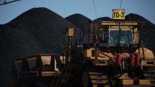 coal industry, coal prices, coal shortage, private sector, power plants, coal imports, competitive prices, coal mine, mining industry