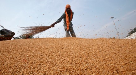 Wider use of digital technology and extension services will be helpful in information sharing and generating awareness among the farmers. (File/Reuters)