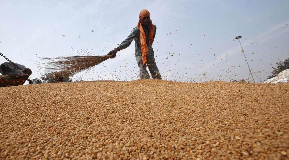 Wider use of digital technology and extension services will be helpful in information sharing and generating awareness among the farmers. (File/Reuters) Wider use of digital technology and extension services will be helpful in information sharing and generating awareness among the farmers. (File/Reuters)