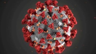 A total of 54 fatalities due to the viral disease were recorded in the last five months -- nine in December, seven in November, four in October, five in September and 29 in August.
