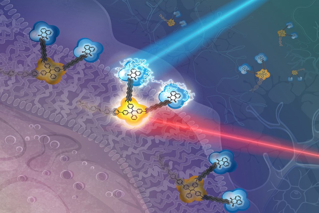 researchers, USC Viterbi School of Engineering, nano-sized, molecular device, heal, cancer, heart disease, The Armani Lab