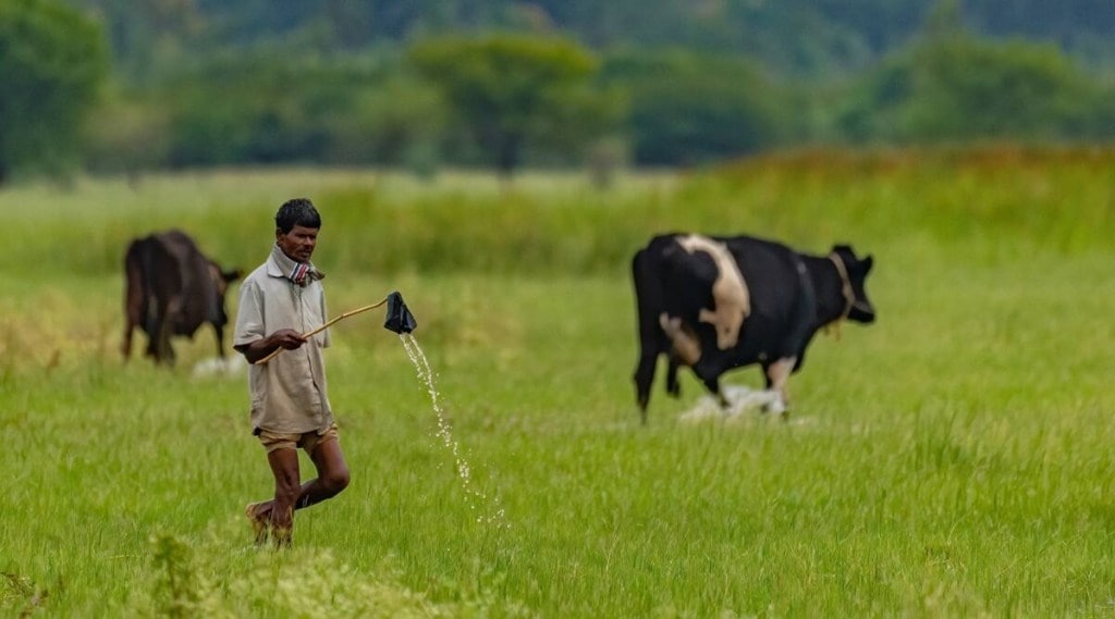 Farmers linked to DeHaat have access to more than 3,000 agricultural inputs. (File)