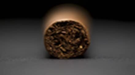 FAIFA represents commercial crop farmers and farm workers across Andhra Pradesh, Telangana, Karnataka and Gujarat. (Representative image)