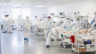 covid 19 patients