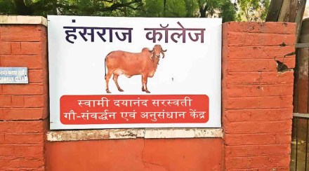 du college cow centre