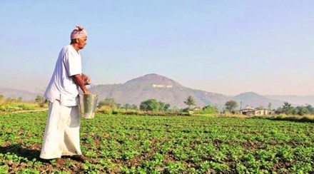 economic survey 2022 for agriculture economic survey 2022 for agriculture