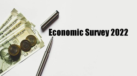 economic survey