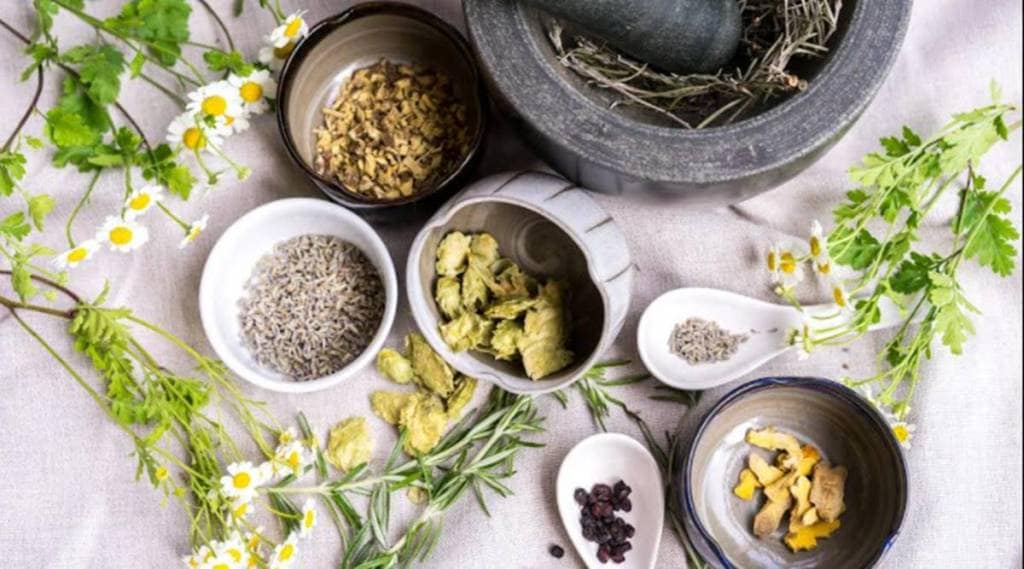 Ayurveda, Forest Raga, health industry, herbs Rohit Goel