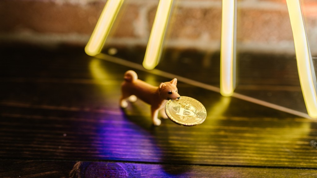 Days before the pause, Mozilla had tweeted that it is accepting cryptos including Bitcoin, Ethereum, Dogecoin as donations. (Image: pexels)