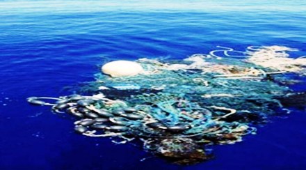 Plastic pollution, green polymers, Amit Mani,