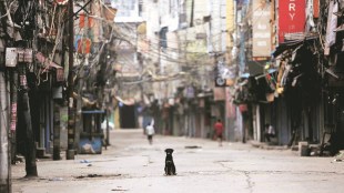 weekend curfew in delhi