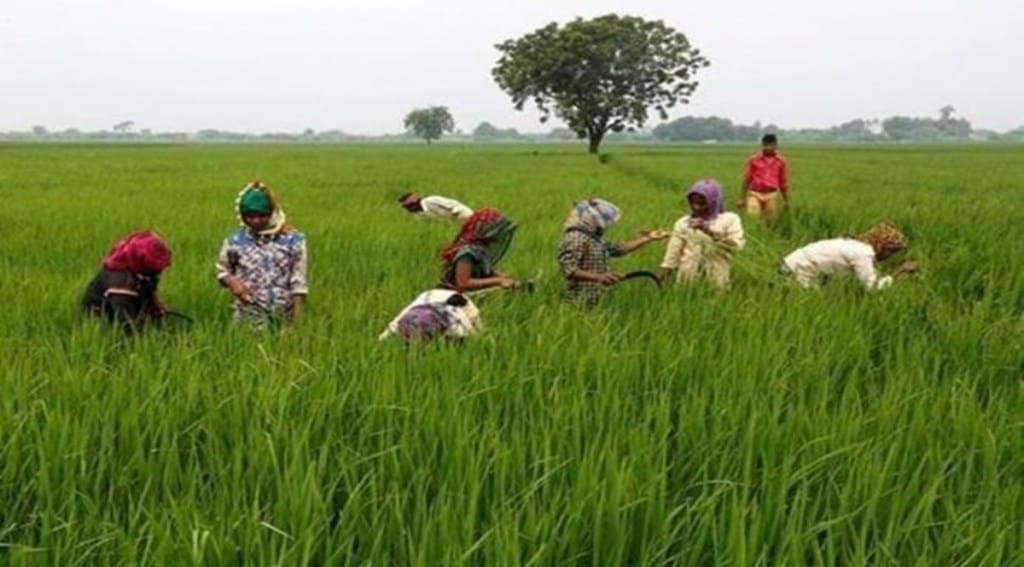 The amount of methane emitted from paddy fields of India is 3.396 teragram per year, which is 71.32 mt CO2e.