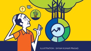When the total corpus is divided among a variety of asset classes and categories, an investor will not be worried about the performance of the portfolio.
