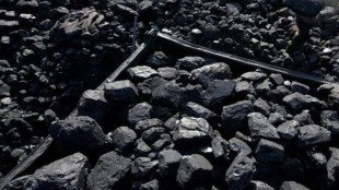 Cabinet decision on coal e-auction