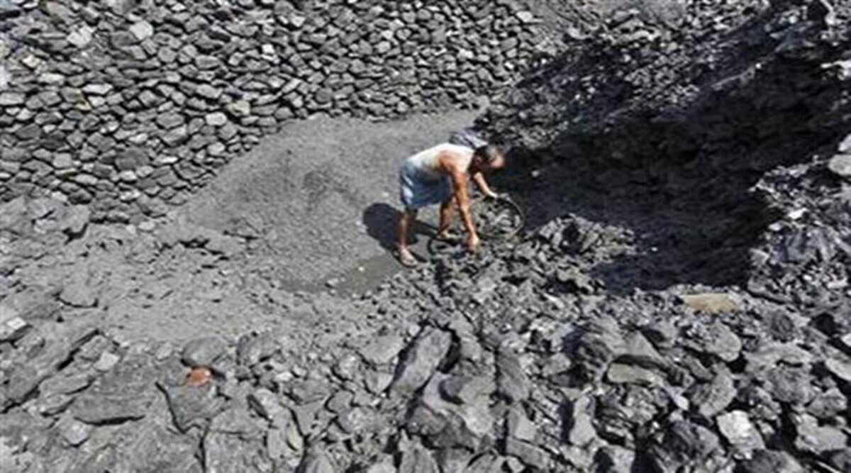 Coal Import 2024 Coal Import 2024