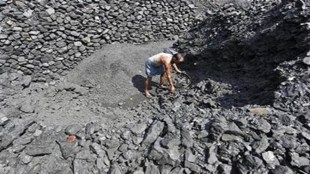 Coal Import 2024