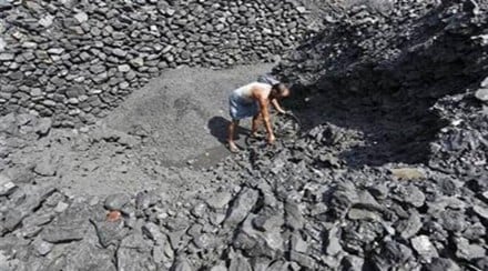 Coal Import 2024