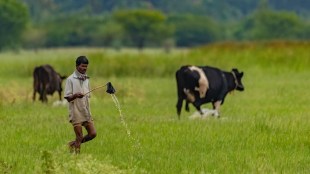 Farming MGNREGS
