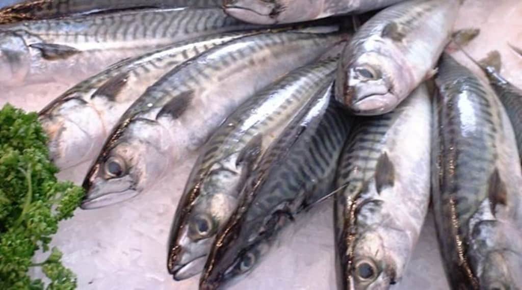 Seafood exports