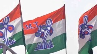 TMC