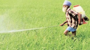 crop protection