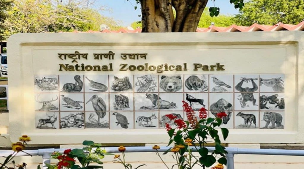delhi national zoo park ANI
