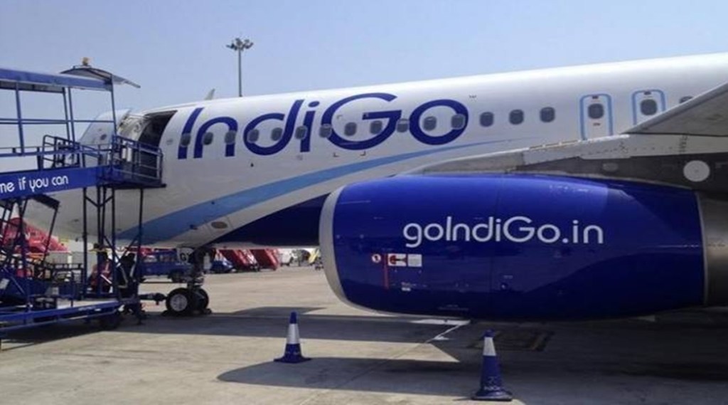 indigo