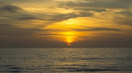 marine heatwaves marine heatwaves