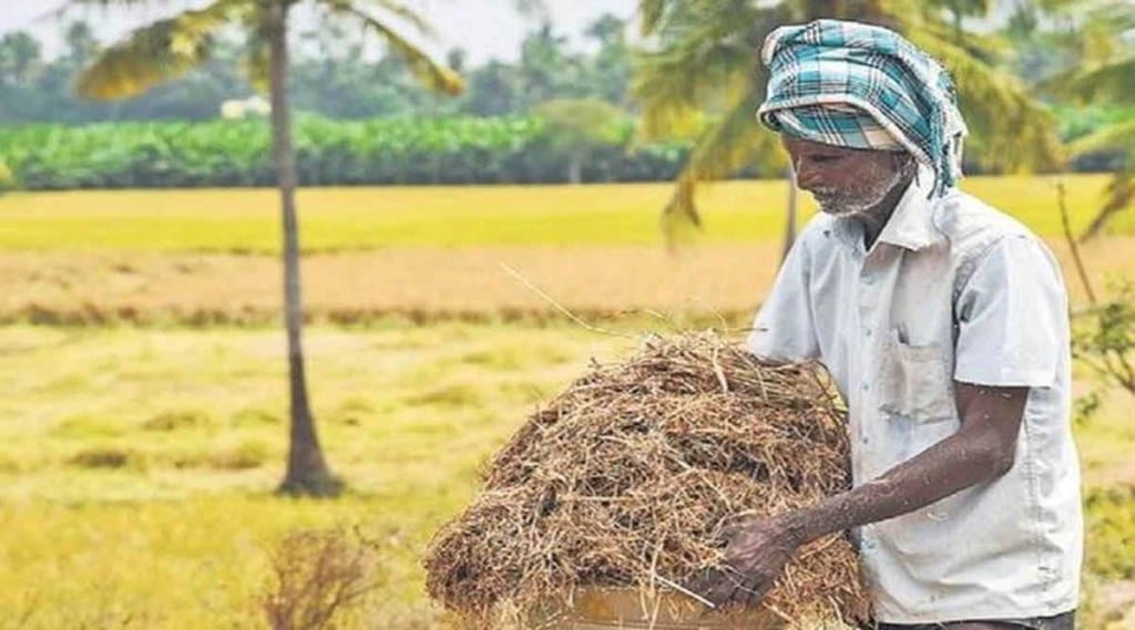 "Till now, about 96.41 lakh farmers have been benefited with an MSP value of Rs 1,38,619.58 crore," the ministry said in a statement.
"Till now, about 96.41 lakh farmers have been benefited with an MSP value of Rs 1,38,619.58 crore," the ministry said in a statement.