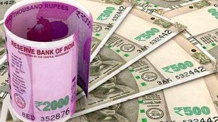 loan, personal loan, personal line of credit, interest on loan, fixed interest, variable interest, credit score, EMI loan