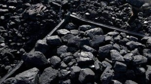  In the same momentum, at 48.4 MTs in February this fiscal, CIL posted a  22% growth in supplies to the power sector, a 8.6 MTs jump, compared to 39.8 MTs of February last fiscal.
