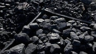 The ministry has not yet fixed any time line as to when the first phase of auction would be rolled out for selecting MDOs, a senior CMPDIL executive said.