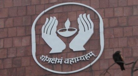 Analysts at Motilal Oswal observed that private sector insurers commanded a market share of 63.4% in the individual annualised premium in February while LIC’s share stood at 36.5%. Analysts at Motilal Oswal observed that private sector insurers commanded a market share of 63.4% in the individual annualised premium in February while LIC’s share stood at 36.5%.