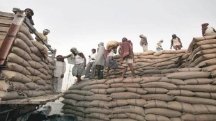 According to a senior official, out of the total grain storage facility of 98 million tonne (MT) with FCI and state government affiliated agencies, around 19 MT of wheat stocks are virtually kept in the open in the so-called covered and plinth (CAP) facilities, where the grain can’t be stored for more than six months.