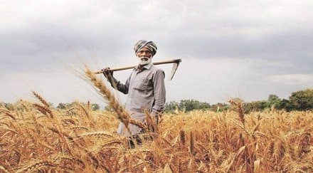 Besides procuring crops under government schemes, the farmer producer organisations also undertakes commercial operations for the benefit of its members.