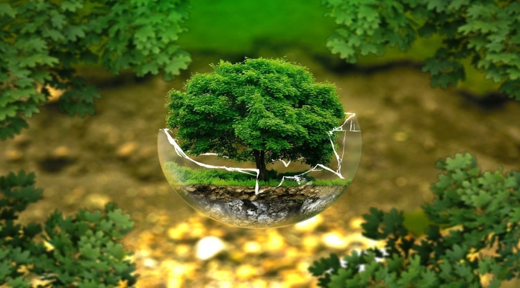Forests are connected to nearly every aspect of sustainability. Depleting forest cover accelerates climate change, impacts wildlife, significantly reduces land quality, leads to an increase in soil erosion, and consequent runoffs. (Image:- Pixabay)
