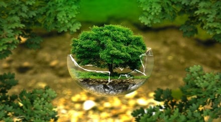 Forests are connected to nearly every aspect of sustainability. Depleting forest cover accelerates climate change, impacts wildlife, significantly reduces land quality, leads to an increase in soil erosion, and consequent runoffs. (Image:- Pixabay)