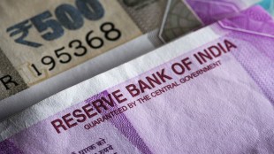FPI, foreign investors, money, equity, inflation, interest rate, indices, stock prices, retail sector