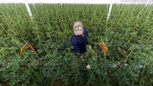 agri-tech sector, agriculture, start-up, farming models, funding, digital payment, UPI transaction, microfinance, credit card