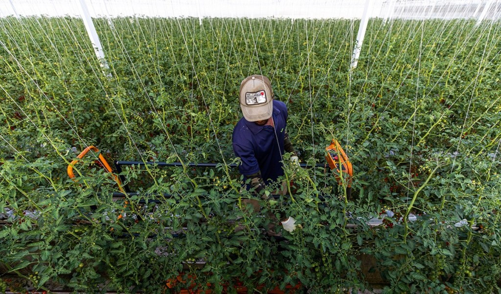 agri-tech sector, agriculture, start-up, farming models, funding, digital payment, UPI transaction, microfinance, credit card
